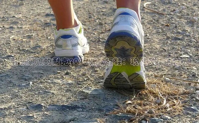 引领潮流的耐克2026新款板鞋：现代风格的魅力